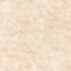 Ковролин AW Cantate 33 фото 1 | FLOORDEALER